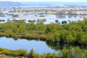 Розлив Десни, Новгород-Сіверський